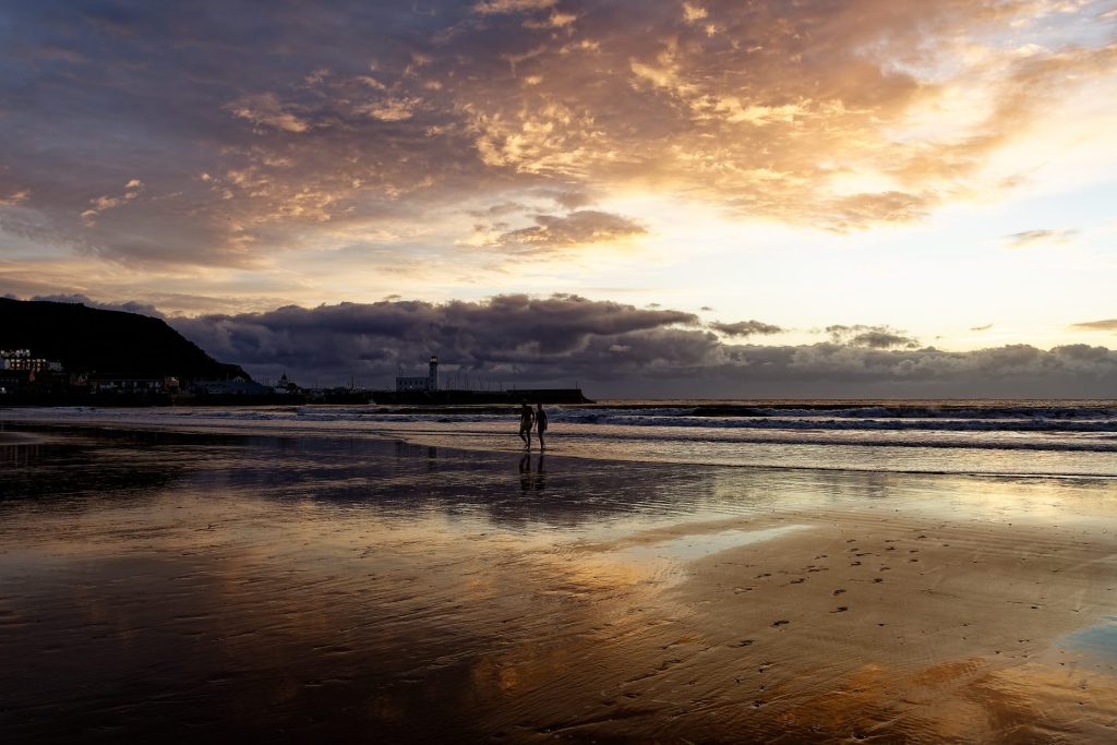 Moors and Dale Photography