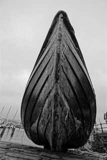 Moors and Dale Photography