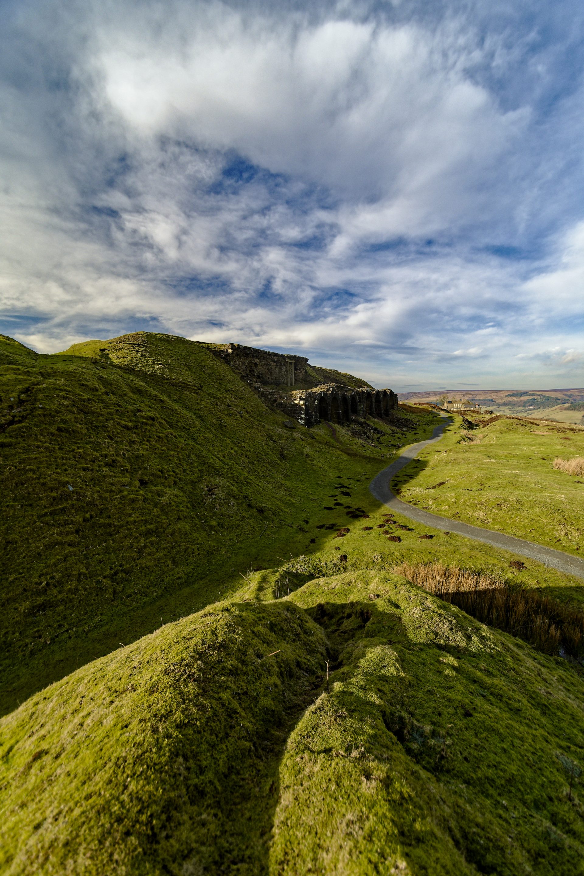 Moors and Dale Photography