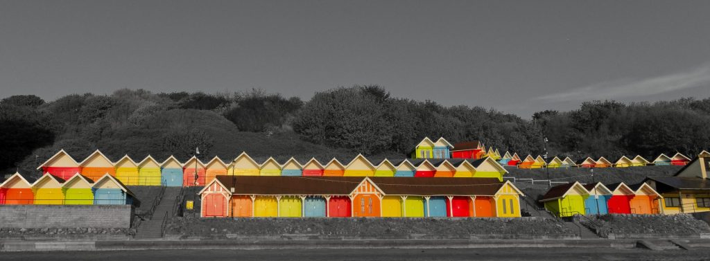 Moors and Dale Photography