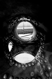 Moors and Dale Photography