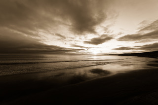 Moors and Dale Photography